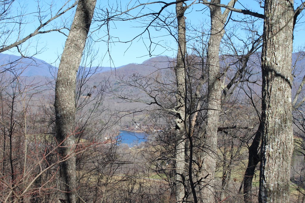Lot 33 Eagles View Property Photo 6