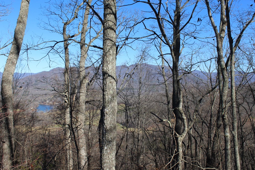 Lot 33 Eagles View Property Photo 7