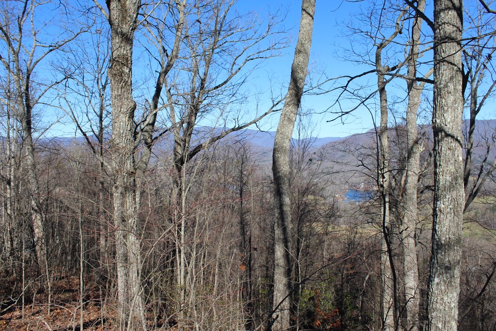 Lot 33 Eagles View Property Photo 8