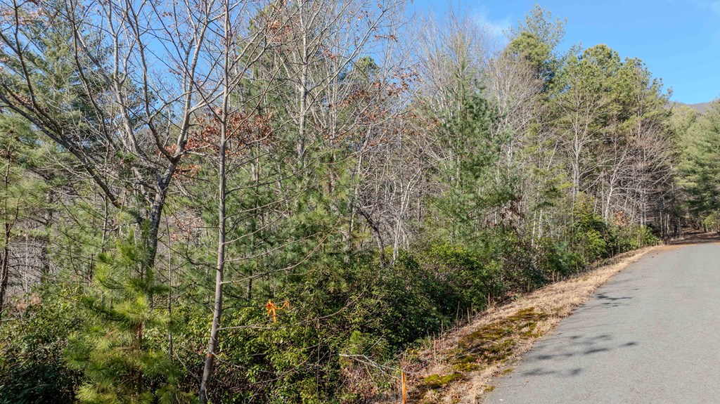 Lot 29 Broadtree Ridge Property Photo 4