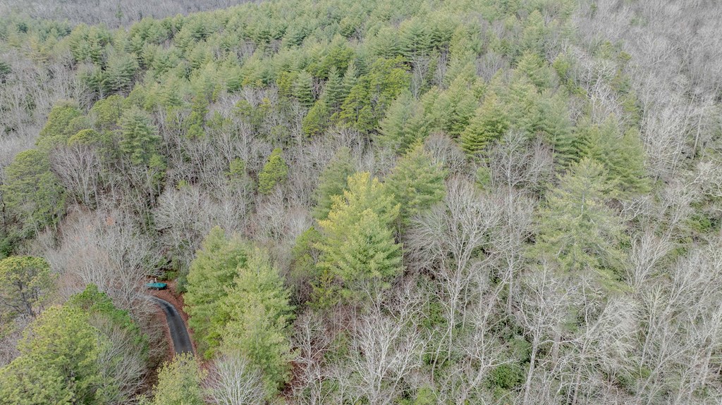 Lot 30 Broadtree Ridge Property Photo 5