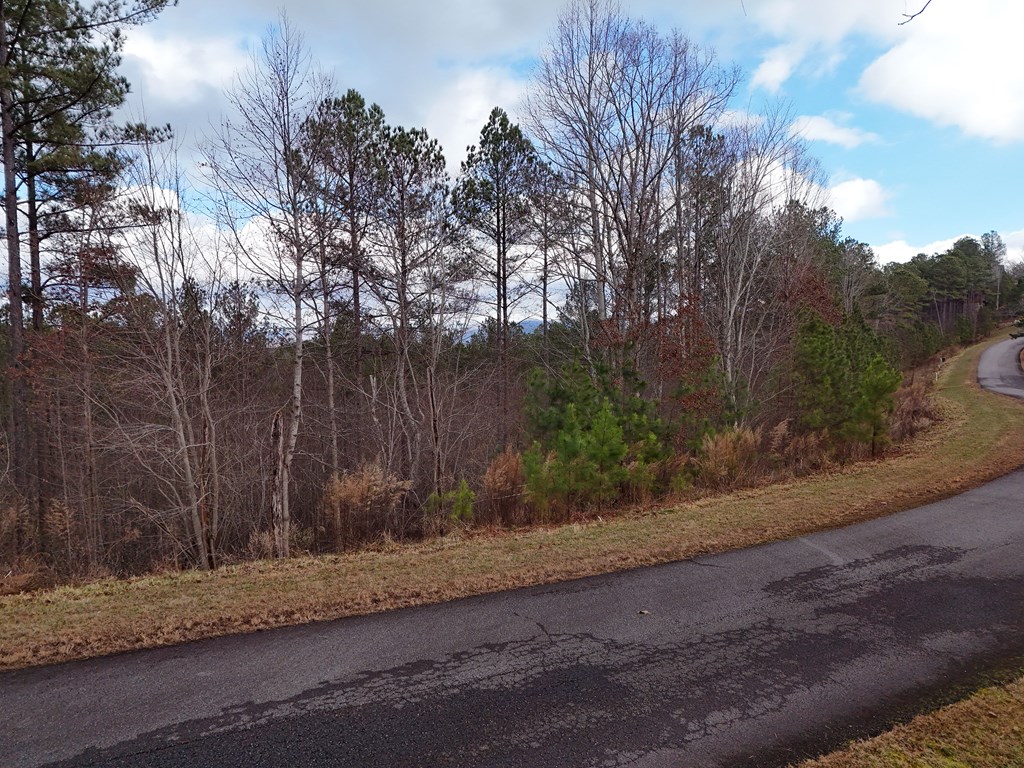 Lot 59 Ridge Peak View Property Photo 11