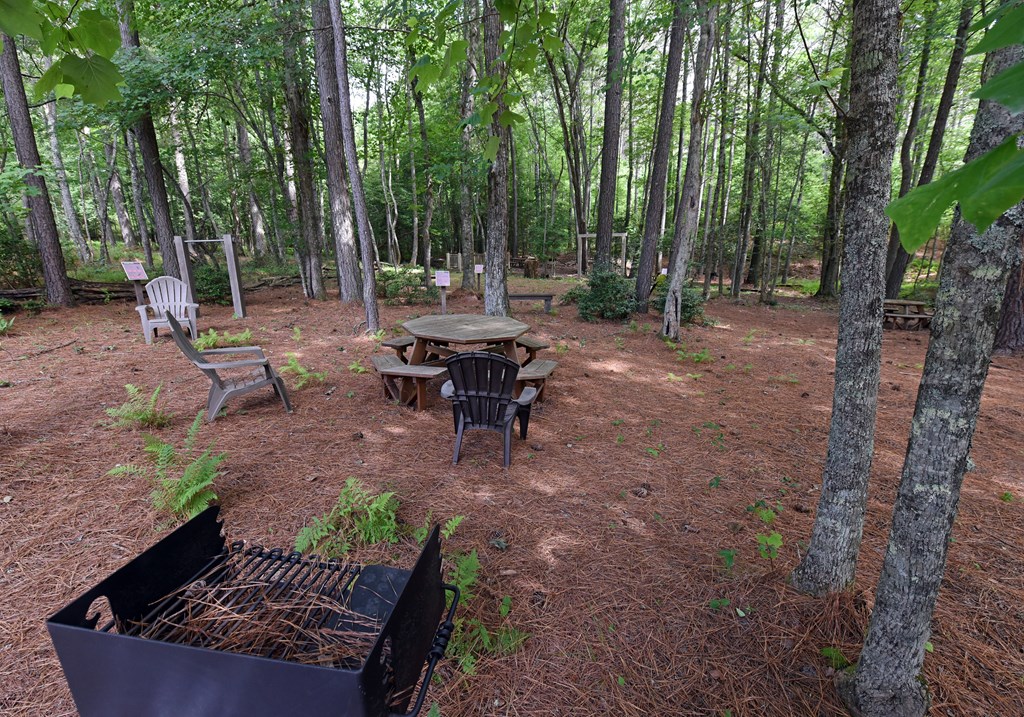 Lot 59 Ridge Peak View Property Photo 27