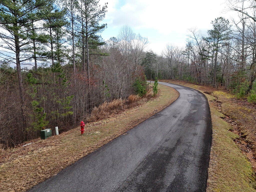 Lot 59 Ridge Peak View Property Photo 33