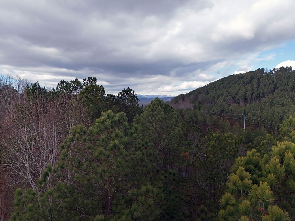Lot 59 Ridge Peak View Property Photo 35