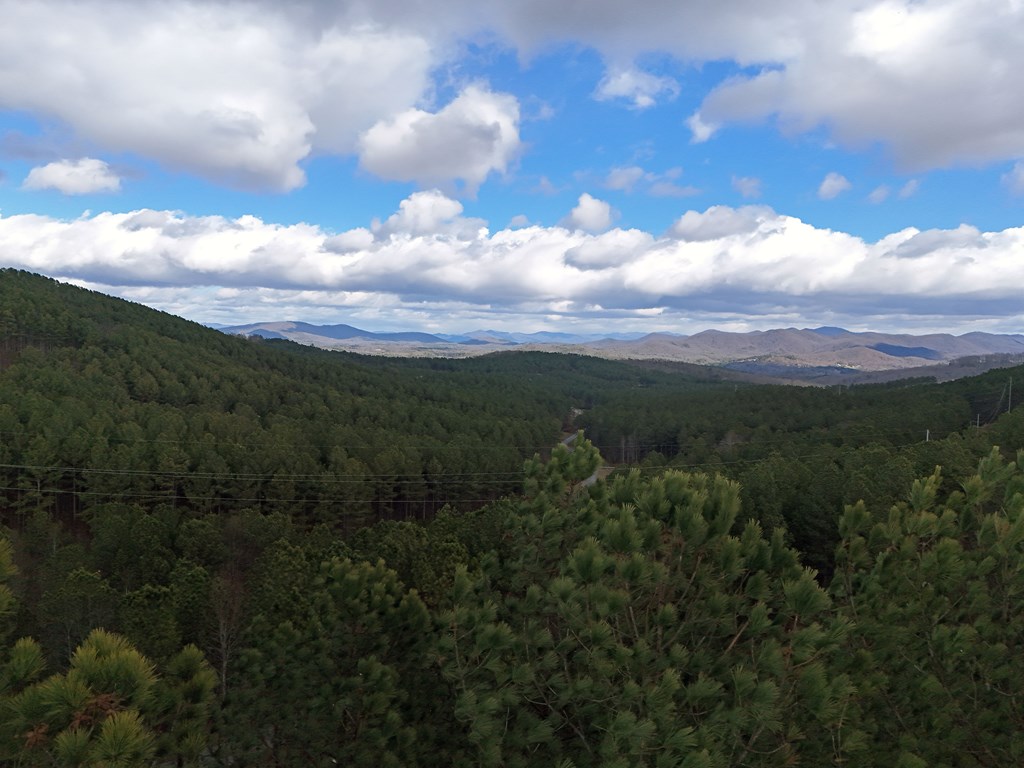 Lot 59 Ridge Peak View Property Photo 37