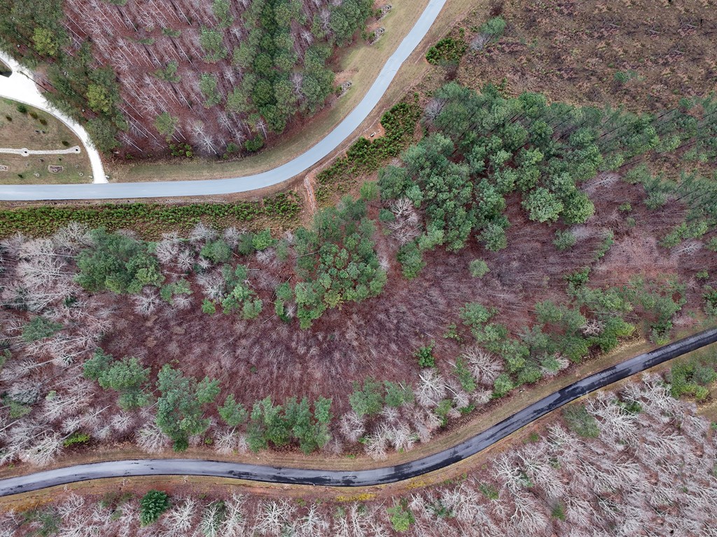 Lot 59 Ridge Peak View Property Photo 41