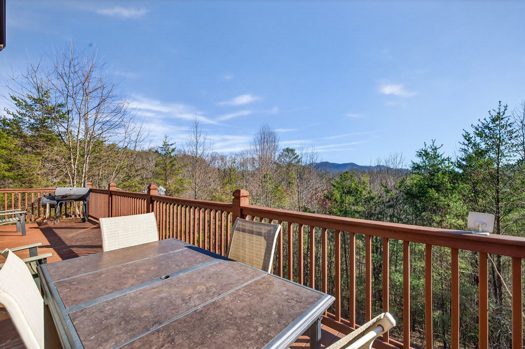 223 Red Bud Lane Property Photo 24