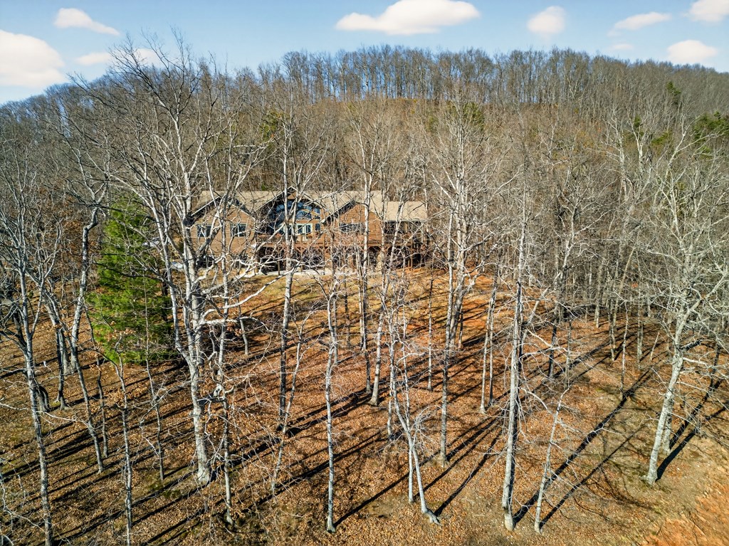 200 Twelve Oaks Drive Property Photo 89