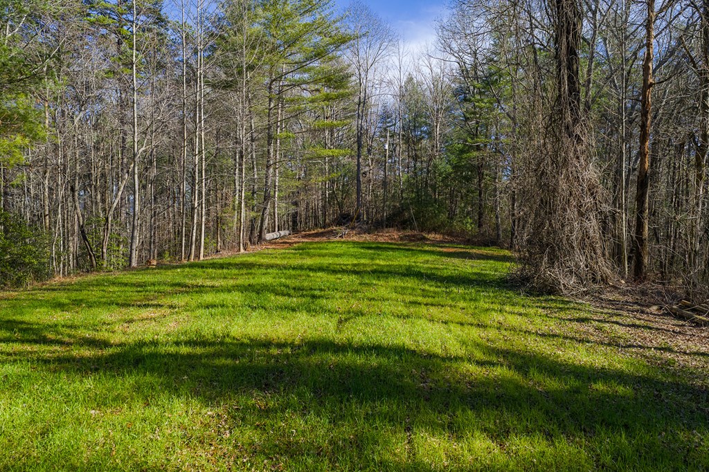 36.8 Ac Pleasant Oak Trail Property Photo 3