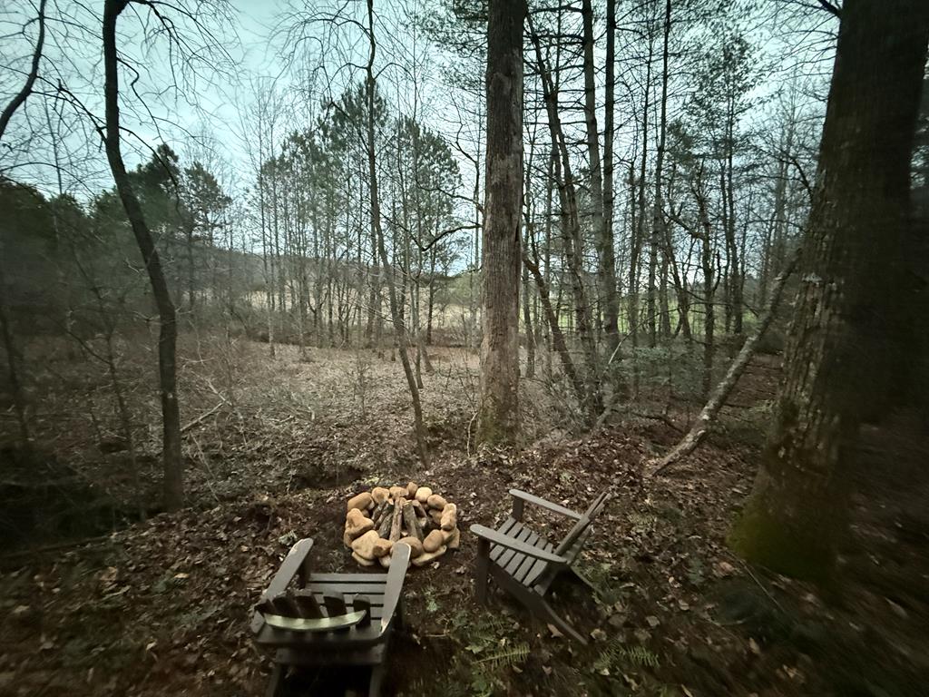 36.8 Ac Pleasant Oak Trail Property Photo 4