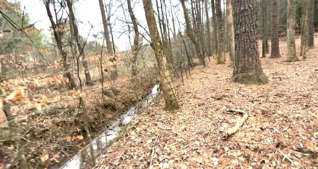 36.8 Ac Pleasant Oak Trail Property Photo 6