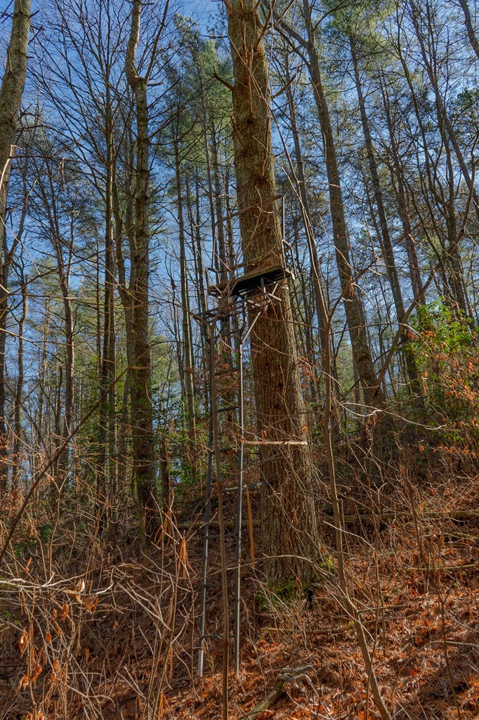 36.8 Ac Pleasant Oak Trail Property Photo 8