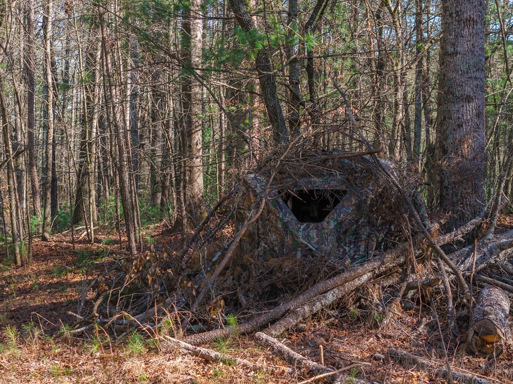 36.8 Ac Pleasant Oak Trail Property Photo 9