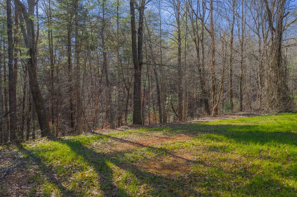 36.8 Ac Pleasant Oak Trail Property Photo 10