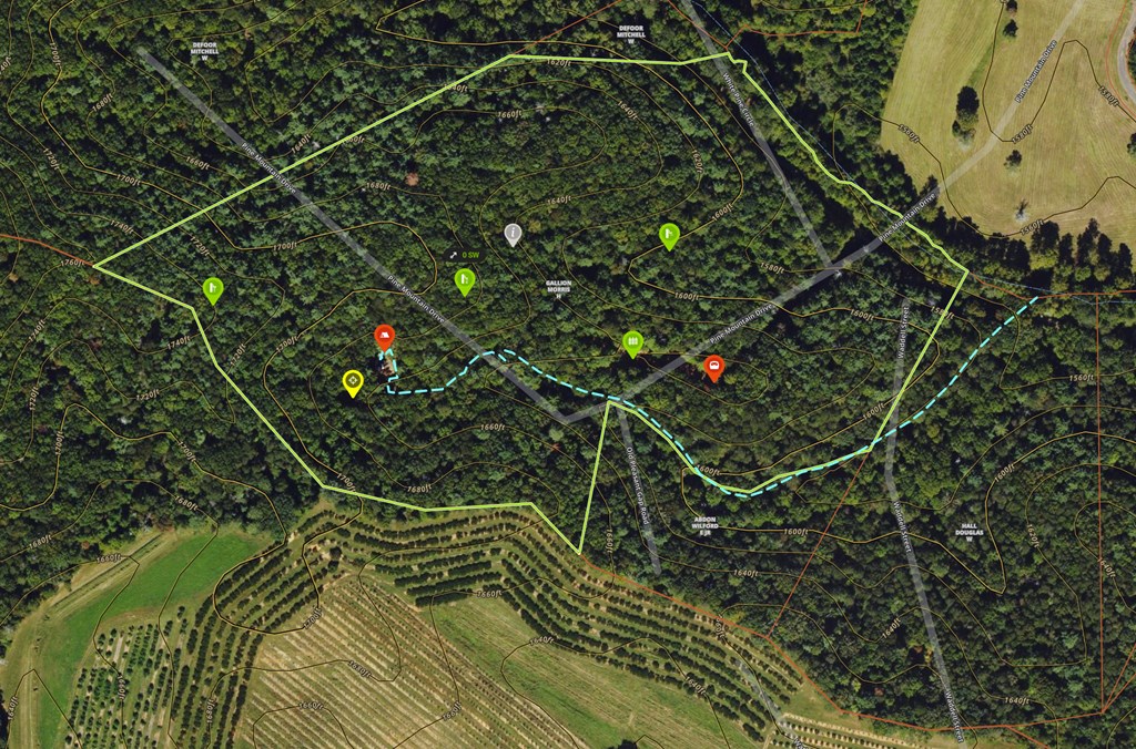 36.8 Ac Pleasant Oak Trail Property Photo 13