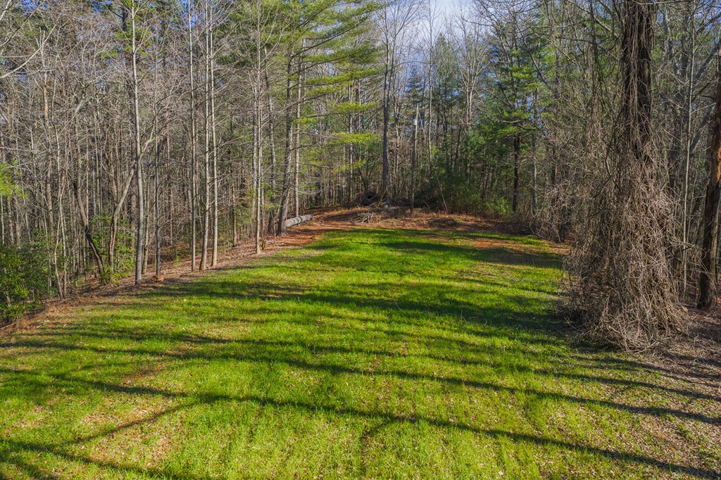 36.8 Ac Pleasant Oak Trail Property Photo 16