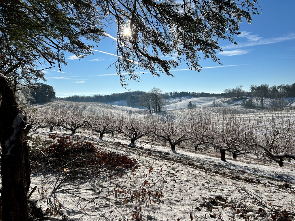 36.8 Ac Pleasant Oak Trail Property Photo 19