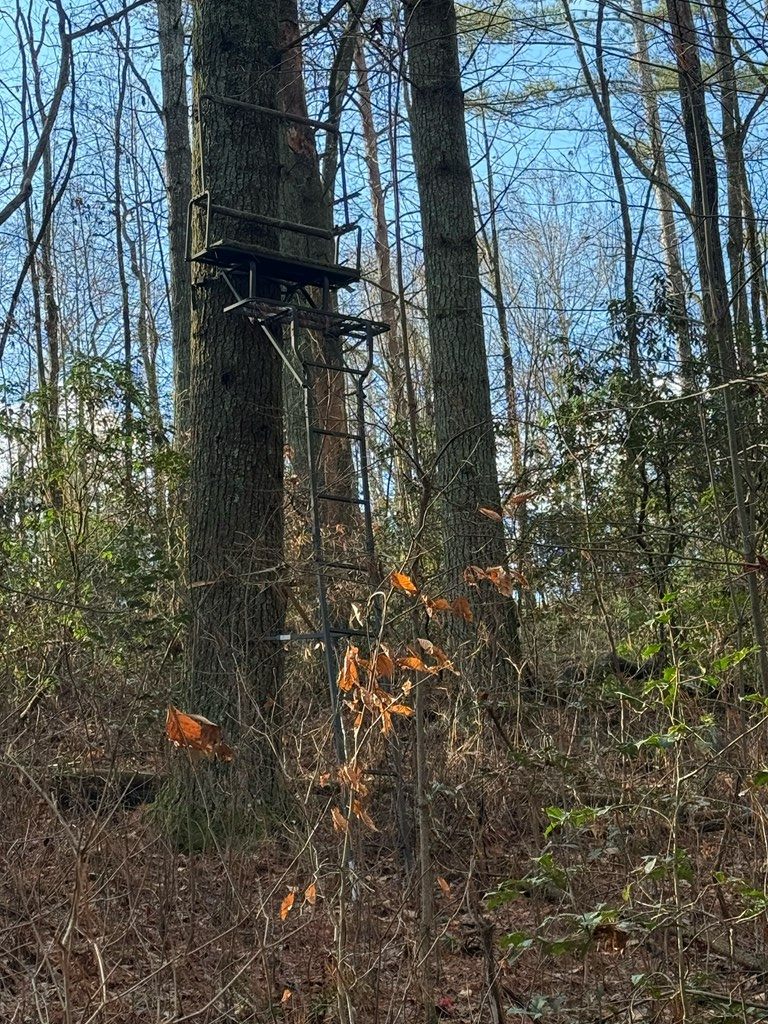 36.8 Ac Pleasant Oak Trail Property Photo 22