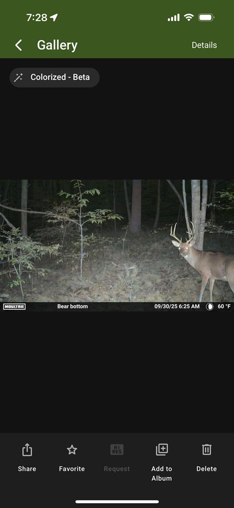 36.8 Ac Pleasant Oak Trail Property Photo 23