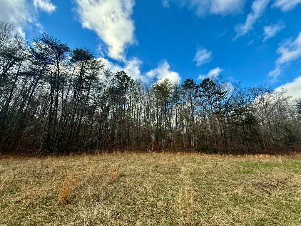 0 Cedar Springs Road Property Photo 2