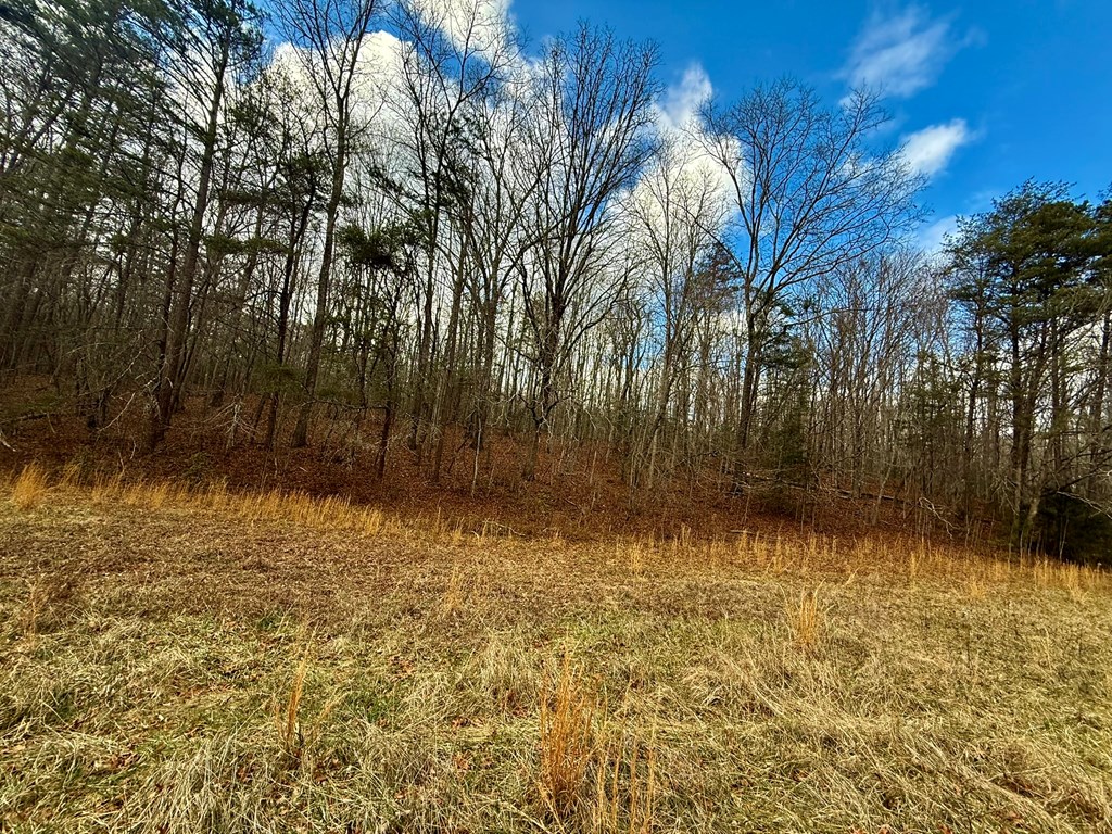 0 Cedar Springs Road Property Photo 3