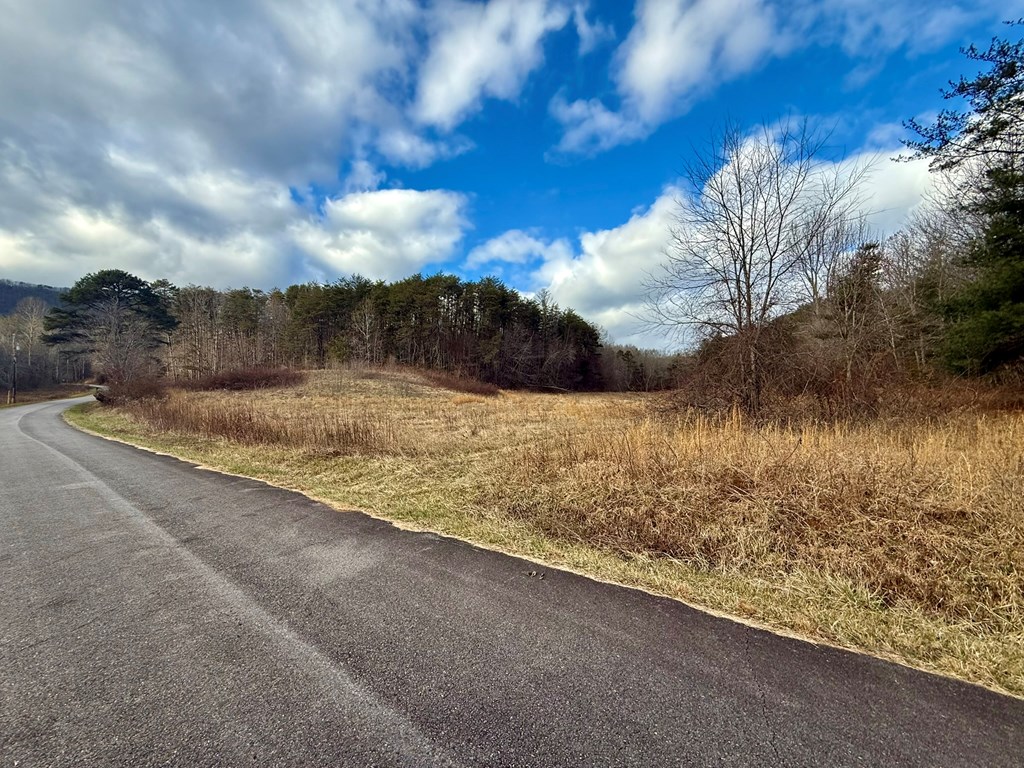 0 Cedar Springs Road Property Photo 7