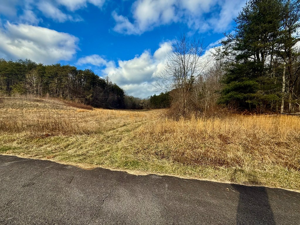 0 Cedar Springs Road Property Photo 8