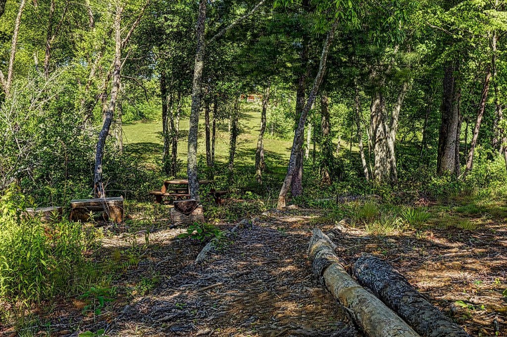 Lot 44 Bayside Lane Property Photo 16