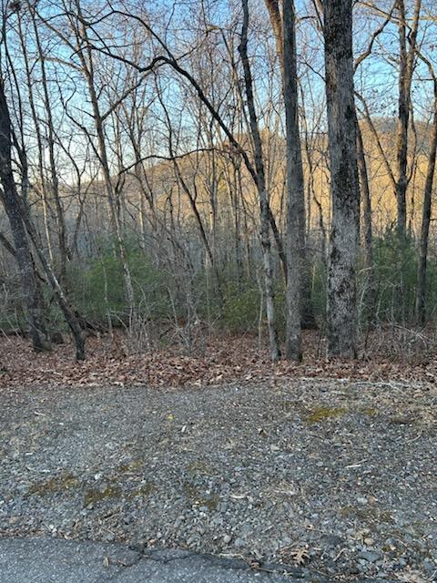 Lot 39 Konahetah Road Property Photo 1
