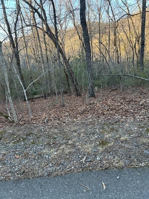 Lot 39 Konahetah Road Property Photo 2