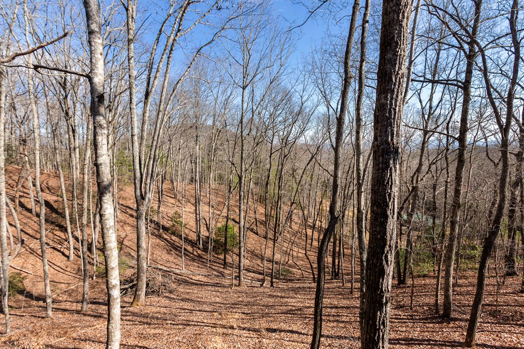 87 Tuscarora Trail Property Photo 29