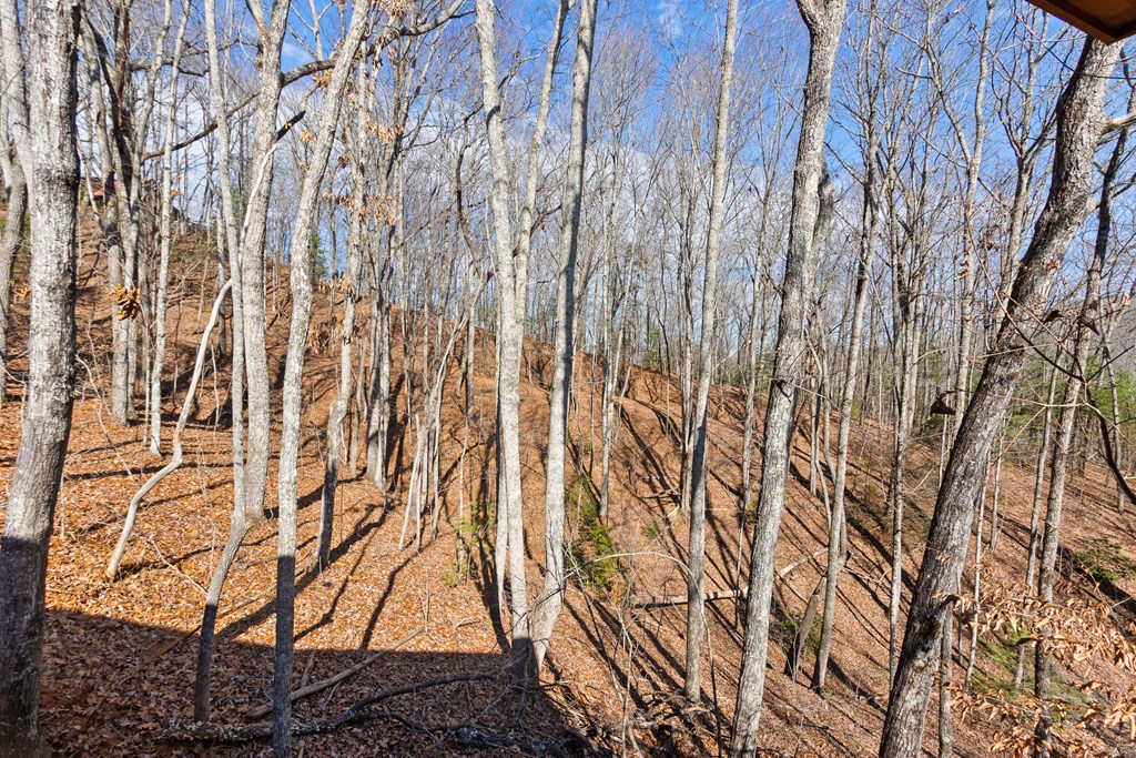 87 Tuscarora Trail Property Photo 41