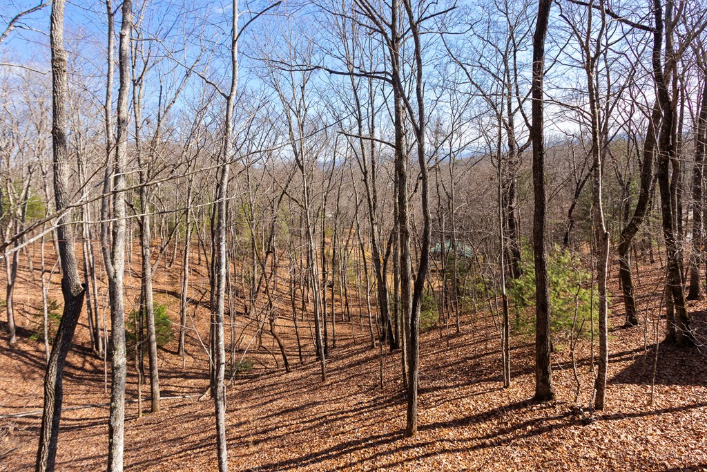 87 Tuscarora Trail Property Photo 63