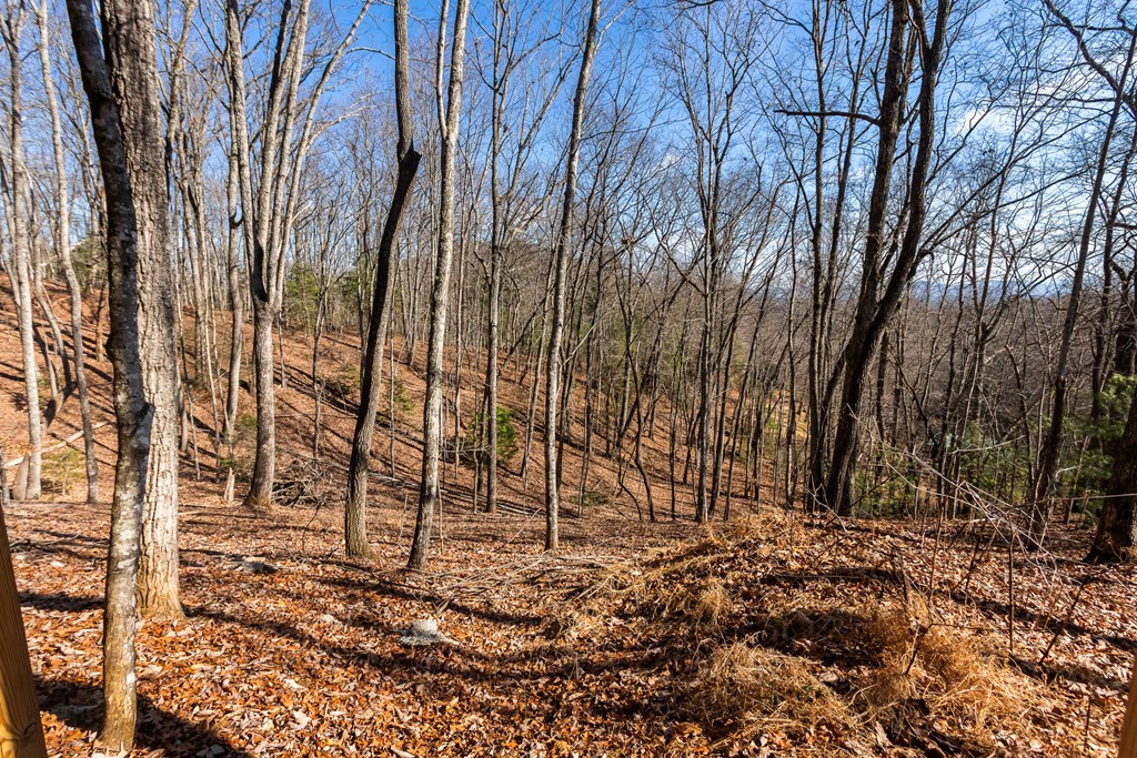 87 Tuscarora Trail Property Photo 67