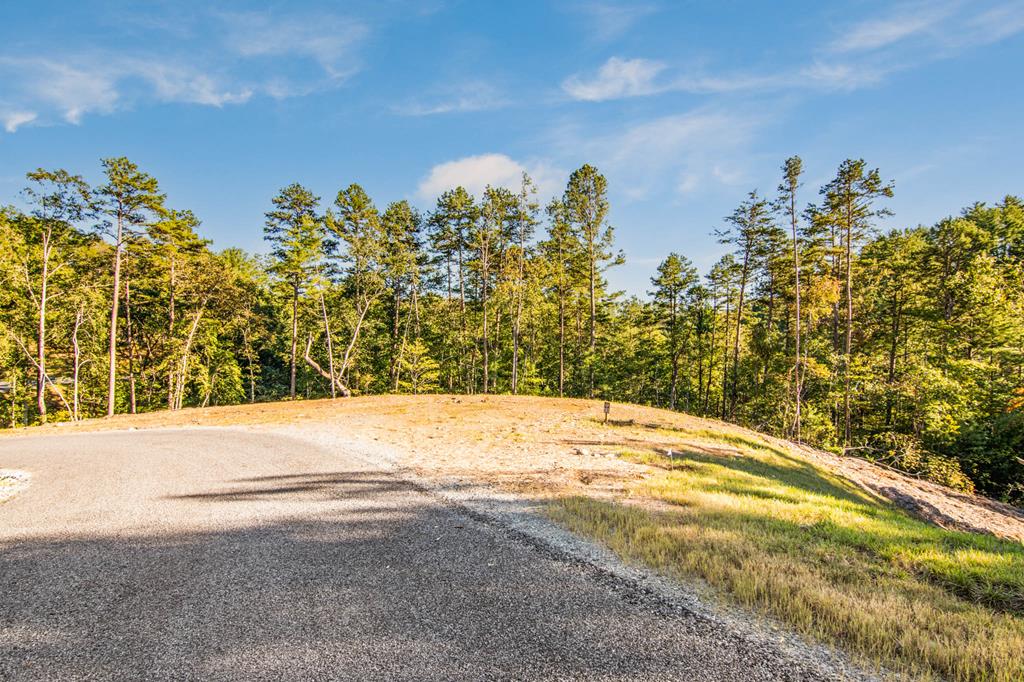 Lot 183 Canoe Point Property Photo 3