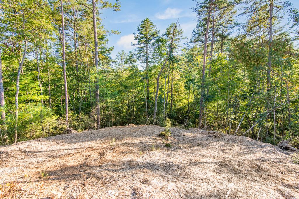 Lot 183 Canoe Point Property Photo 8