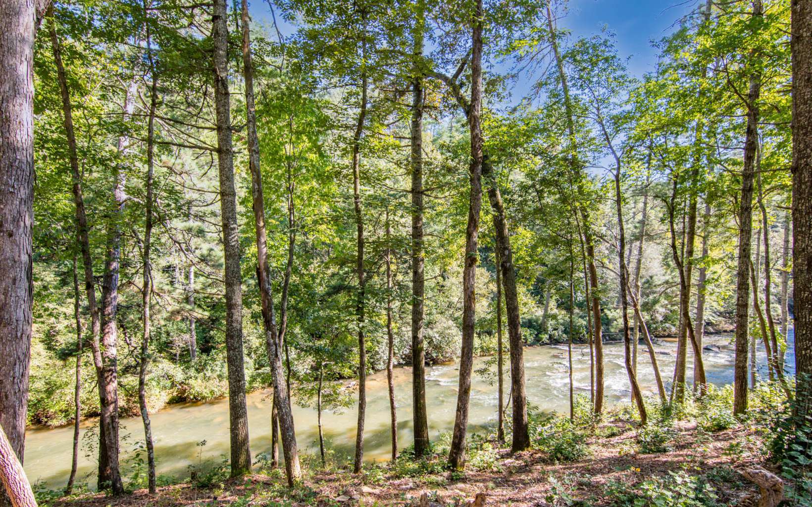 Lot 183 Canoe Point Property Photo 9