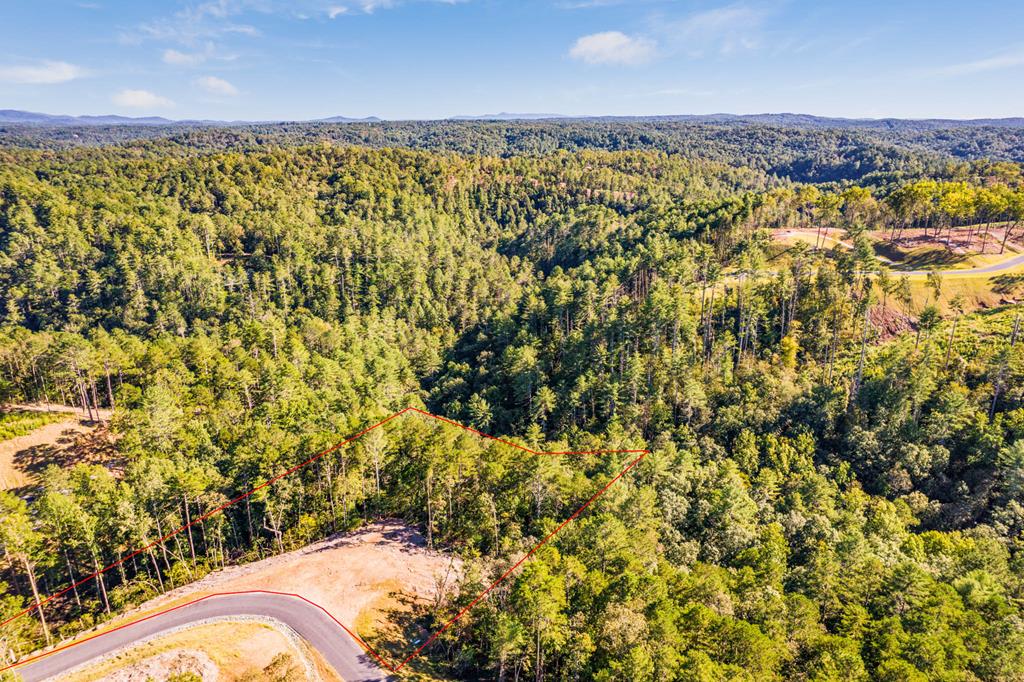 Lot 183 Canoe Point Property Photo 19