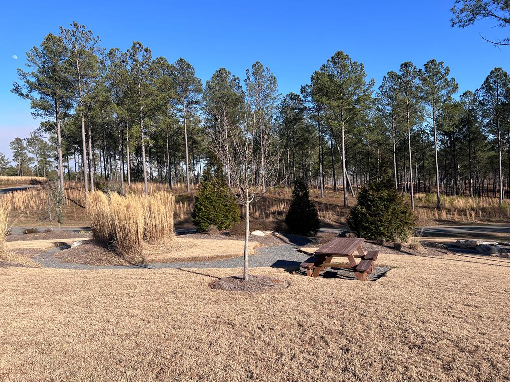 Lot 183 Canoe Point Property Photo 21