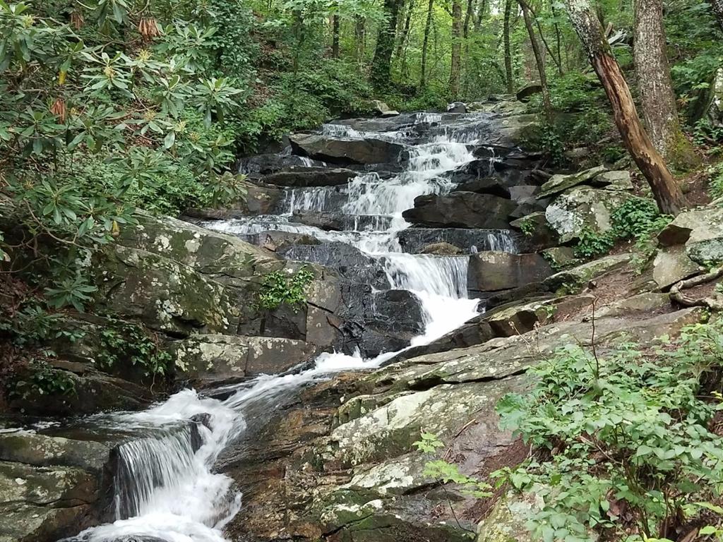 Lot 183 Canoe Point Property Photo 25