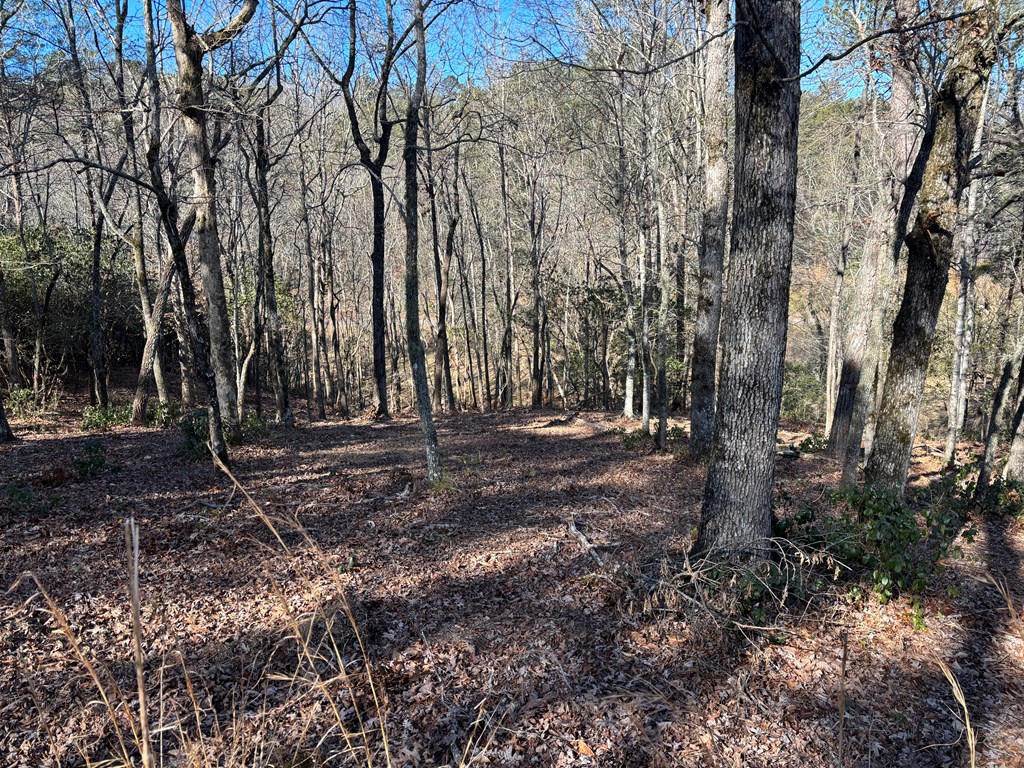 Lot 18 Brasstown Trails Property Photo 6