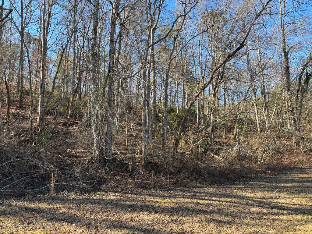 Lot 18 Brasstown Trails Property Photo 10