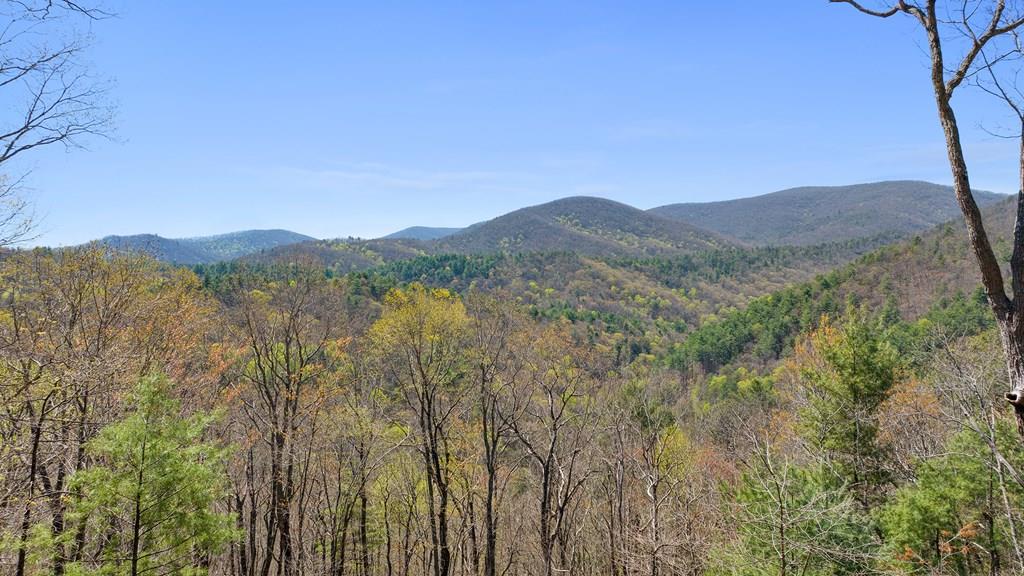 0 Big Creek Road Property Photo 1