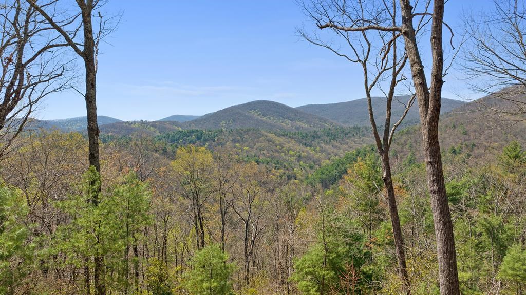 0 Big Creek Road Property Photo 2