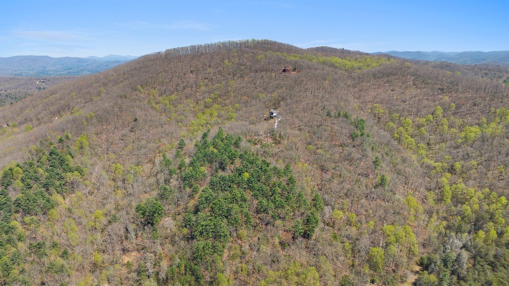0 Big Creek Road Property Photo 5