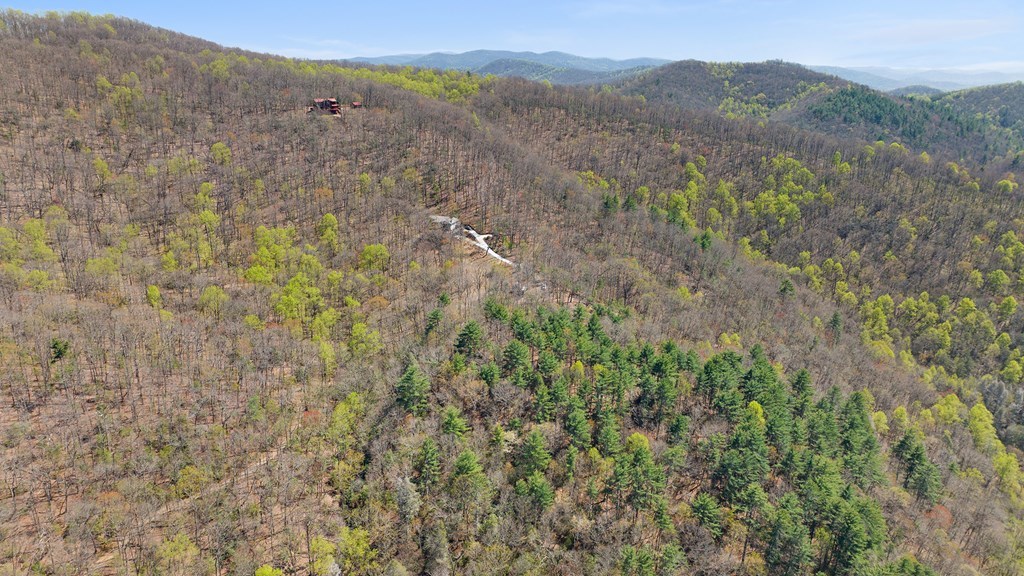 0 Big Creek Road Property Photo 8