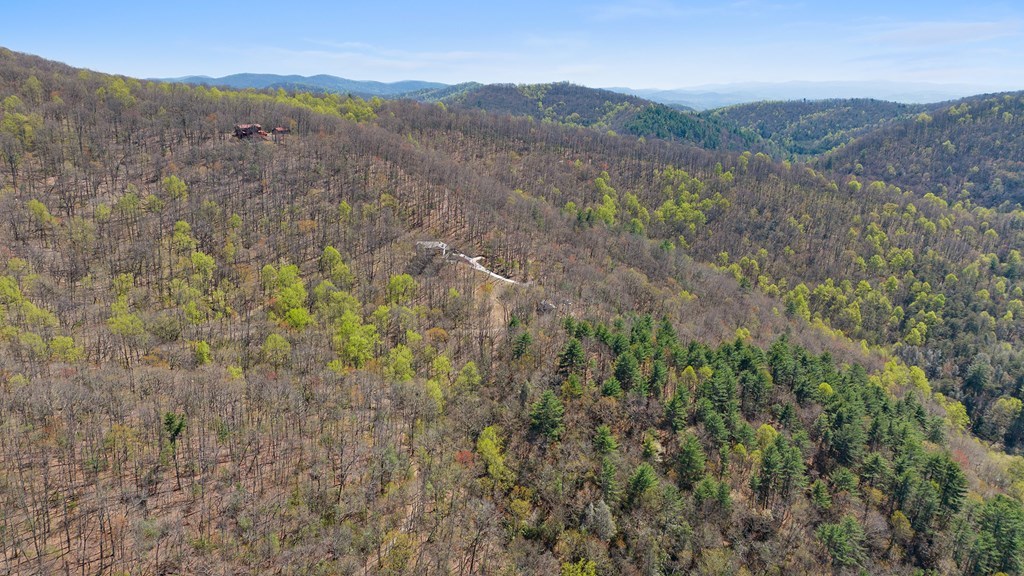 0 Big Creek Road Property Photo 9