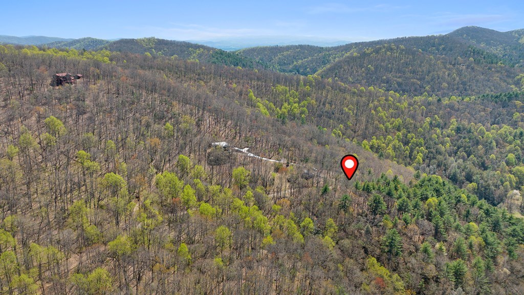0 Big Creek Road Property Photo 10