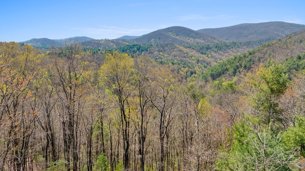 0 Big Creek Road Property Photo 17